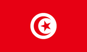 Tunisia - サッカーチュニジア代表のメンバー・フォーメーションを読む