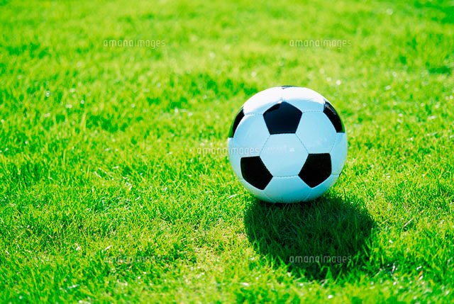 サッカーボール - 第99回（2020年）高校サッカー選手権神奈川県予選　展望