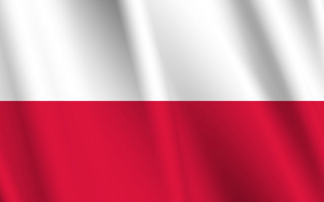 ポーランド - サッカーポーランド代表 メンバー・フォーメーション<h4>（直近の試合結果・スタメン・その他スタッツ）</h4>