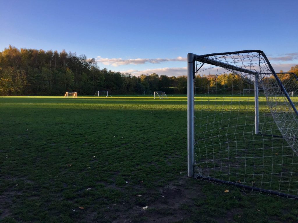 soccer goal net on green grass field